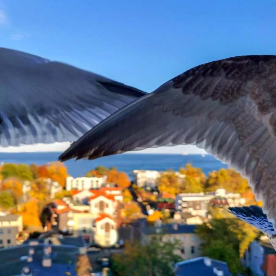 Pokoje Przy Plazy Z Widokiem Na Morze Sopot Homestay