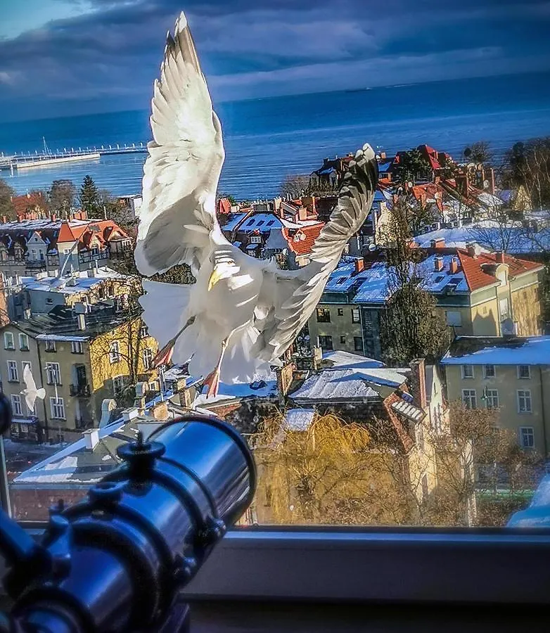Homestay Pokoje Przy Plazy Z Widokiem Na Morze Sopot