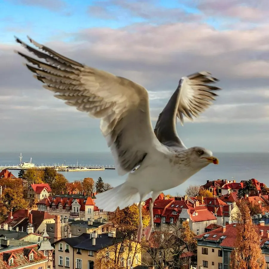 Homestay Pokoje Przy Plazy Z Widokiem Na Morze Sopot