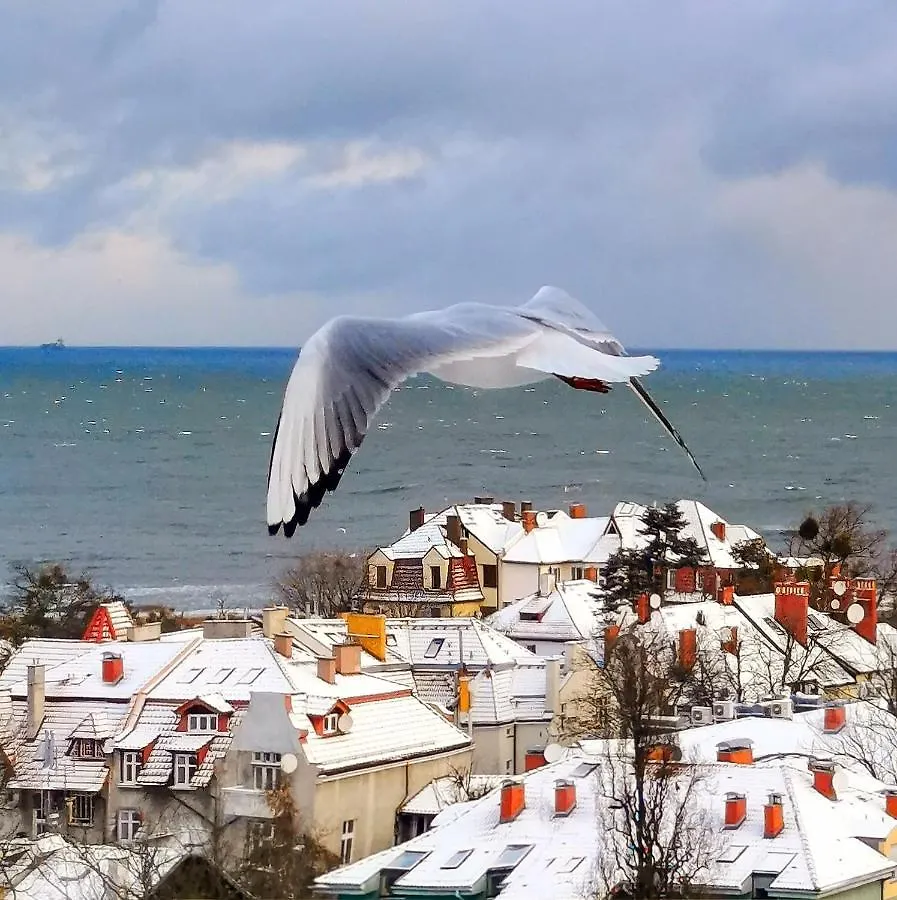 Homestay Pokoje Przy Plazy Z Widokiem Na Morze Sopot Poland