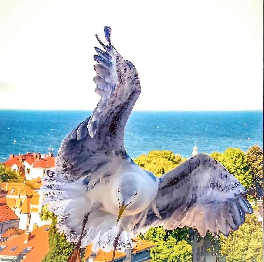 Pokoje Przy Plazy Z Widokiem Na Morze Sopot Homestay