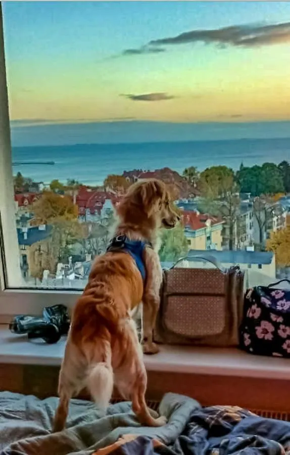 Pokoje Przy Plazy Z Widokiem Na Morze Sopot 0*,