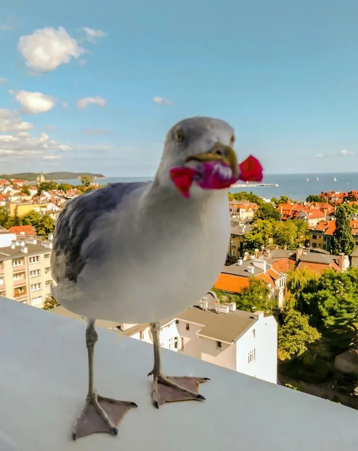 Homestay Pokoje Przy Plazy Z Widokiem Na Morze Sopot