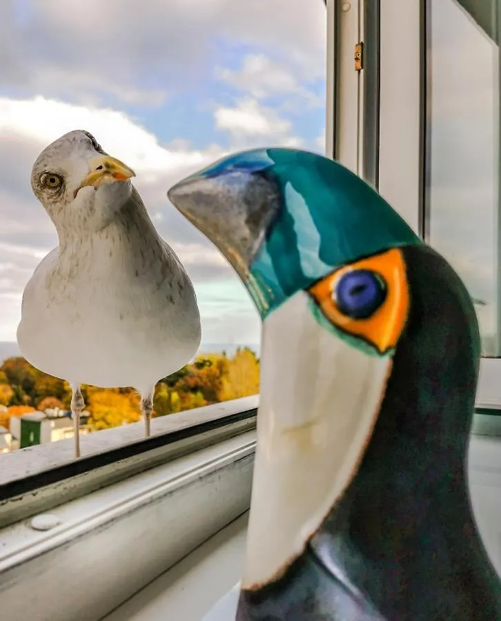 Pokoje Przy Plazy Z Widokiem Na Morze Sopot Poland